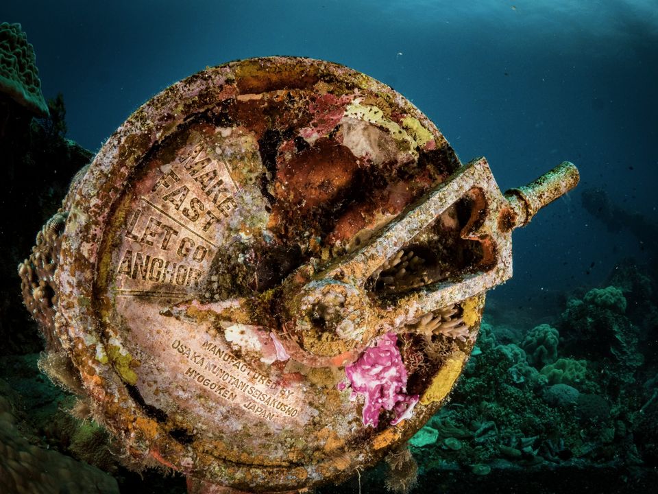 Bridge instrument and soft coral, Chuuk Lagoon