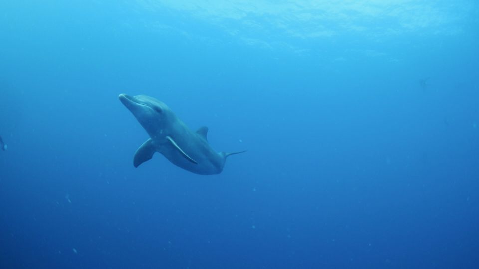 In the blue, Chuuk Lagoon