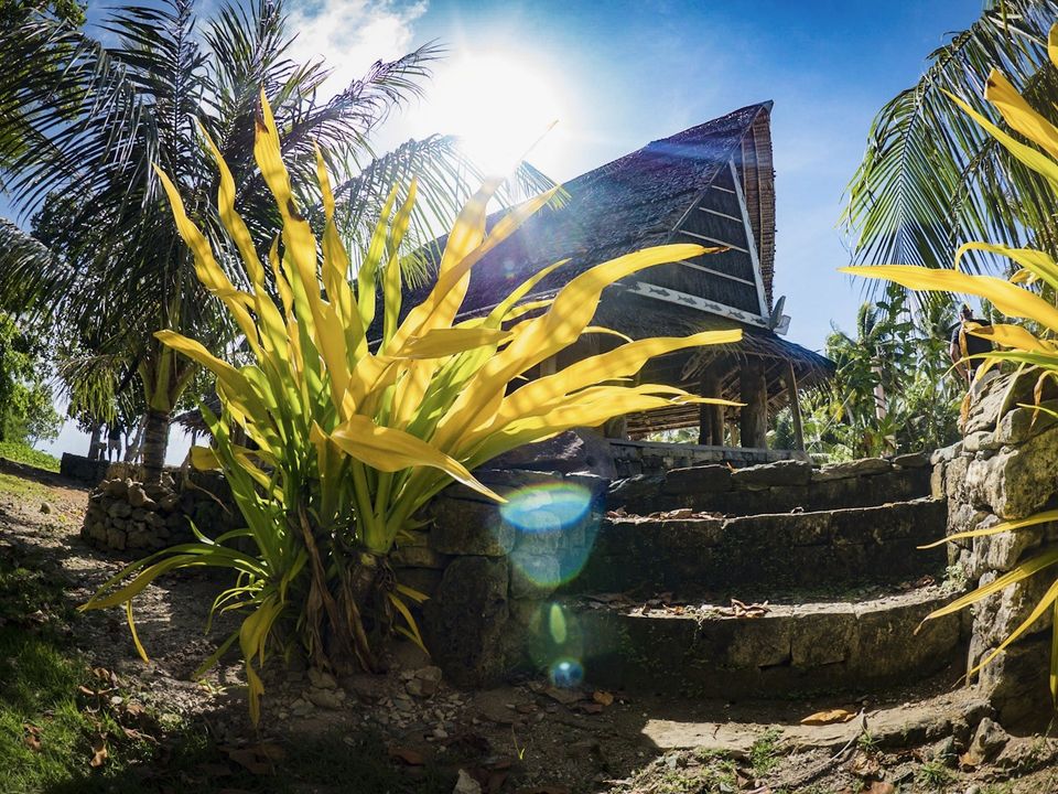 Path through the jungle, Yap