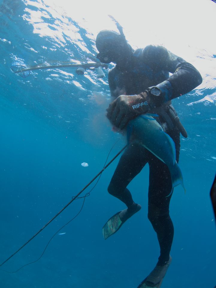 Spearfishing at the Micronesian Games, Yap